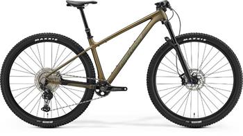 BIG.NINE TR LIMITED