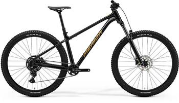 BIG.TRAIL 300
